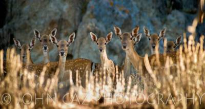&Tau;&alpha; &pi;&lambda;&alpha;&tau;ώ&nu;&iota;&alpha; &tau;&eta;&sigmaf; &Lambda;ή&mu;&nu;&omicron;&upsilon;: &Pi;&rho;&omicron;&sigma;&tau;&alpha;&sigma;ί&alpha; ή &Delta;&iota;&alpha;&chi;&epsilon;ί&rho;&iota;&sigma;&eta;; | &Mu;έ&rho;&omicron;&sigmaf; 1&omicron;