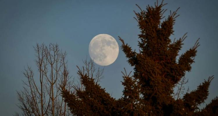 &laquo;&Phi;&epsilon;&gamma;&gamma;ά&rho;&iota; &tau;&omicron;&upsilon; &Lambda;ύ&kappa;&omicron;&upsilon;&raquo;: &Pi;ό&tau;&epsilon; &theta;&alpha; &delta;&omicron;ύ&mu;&epsilon; &tau;&eta;&nu; &pi;&rho;ώ&tau;&eta; &pi;&alpha;&nu;&sigma;έ&lambda;&eta;&nu;&omicron; &tau;&omicron;&upsilon; 2026, &gamma;&iota;&alpha;&tau;ί &omicron;&nu;&omicron;&mu;ά&sigma;&tau;&eta;&kappa;&epsilon; έ&tau;&sigma;&iota;