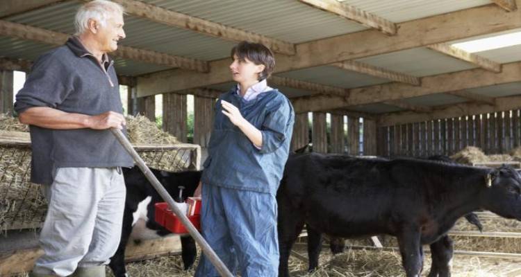 &Lambda;ή&mu;&nu;&omicron;&sigmaf;: &Pi;&rho;ό&sigma;&lambda;&eta;&psi;&eta; &kappa;&tau;&eta;&nu;ί&alpha;&tau;&rho;&omicron;&upsilon;