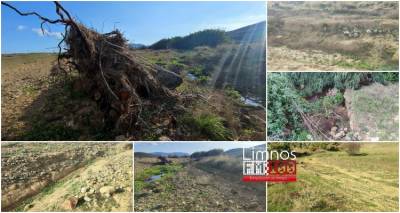 &Sigma;&epsilon; &alpha;&pi;ό&gamma;&nu;&omega;&sigma;&eta; &kappa;&tau;&eta;&nu;&omicron;&tau;&rho;ό&phi;&omicron;&sigmaf; &sigma;&tau;&eta; &Lambda;ή&mu;&nu;&omicron; | Έ&nu;&alpha; &chi;&rho;ό&nu;&omicron; &mu;&epsilon;&tau;ά &tau;&eta;&nu; &kappa;&alpha;&kappa;&omicron;&kappa;&alpha;&iota;&rho;ί&alpha; Bora &eta; &gamma;&eta; &tau;&omicron;&upsilon; &pi;&alpha;&rho;&alpha;&mu;έ&nu;&epsilon;&iota; &alpha;&kappa;&alpha;&tau;ά&lambda;&lambda;&eta;&lambda;&eta; &gamma;&iota;&alpha; &kappa;&alpha;&lambda;&lambda;&iota;έ&rho;&gamma;&epsilon;&iota;&alpha; (photos + video)