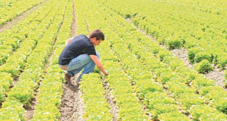 &Epsilon;&pi;ά&gamma;&gamma;&epsilon;&lambda;&mu;&alpha;&hellip; &Nu;έ&omicron;&sigmaf; &Alpha;&gamma;&rho;ό&tau;&eta;&sigmaf;