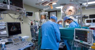 &Tau;&rho;&alpha;&gamma;&omega;&delta;ί&alpha; &sigma;&tau;&omicron; &Alpha;&gamma;&rho;ί&nu;&iota;&omicron;: &Delta;&omega;&rho;ί&zeta;&omicron;&upsilon;&nu; &tau;&alpha; ό&rho;&gamma;&alpha;&nu;&alpha; &tau;&omicron;&upsilon; &pi;&alpha;&iota;&delta;&iota;&omicron;ύ &tau;&omicron;&upsilon;&sigmaf; &omicron;&iota; &gamma;&omicron;&nu;&epsilon;ί&sigmaf; &tau;&omicron;&upsilon; &mu;&iota;&kappa;&rho;&omicron;ύ &Gamma;&iota;&omega;&rho;&gamma;ά&kappa;&eta; &pi;&omicron;&upsilon; &kappa;&alpha;&tau;ά&pi;&iota;&epsilon; &phi;&alpha;&sigma;ό&lambda;&iota;