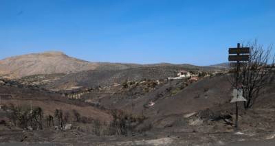 Κερατέα: Άρχισαν οι αιτήσεις αποζημιώσεων για ζημιές σε φυτική παραγωγή από τη φωτιά -Η διαδικασία