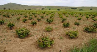 &Xi;&epsilon;&kappa;ί&nu;&eta;&sigma;&alpha;&nu; &omicron;&iota; &alpha;&iota;&tau;ή&sigma;&epsilon;&iota;&sigmaf; &alpha;&nu;&alpha;&delta;&iota;ά&rho;&theta;&rho;&omega;&sigma;&eta;&sigmaf; &alpha;&mu;&pi;έ&lambda;&omega;&nu;