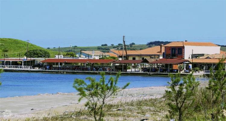 &Pi;&rho;&omicron;&sigma;&omega;&rho;&iota;&nu;ή &delta;&iota;&alpha;&kappa;&omicron;&pi;ή &rho;&epsilon;ύ&mu;&alpha;&tau;&omicron;&sigmaf; &sigma;&tau;&omicron;&nu; &Kappa;ό&tau;&sigma;&iota;&nu;&alpha;