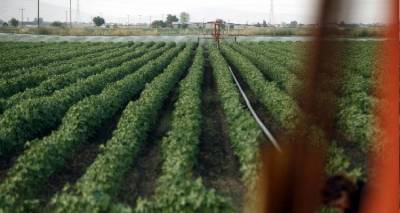 &Kappa;&omicron;&nu;&delta;ύ&lambda;&iota;&alpha; 230 &epsilon;&kappa;&alpha;&tau;. &epsilon;&upsilon;&rho;ώ &gamma;&iota;&alpha; &tau;&eta;&nu; &alpha;&nu;&alpha;&beta;ά&theta;&mu;&iota;&sigma;&eta; &tau;&omega;&nu; &gamma;&epsilon;&omega;&kappa;&tau;&eta;&nu;&omicron;&tau;&rho;&omicron;&phi;&iota;&kappa;ώ&nu; &epsilon;&kappa;&mu;&epsilon;&tau;&alpha;&lambda;&lambda;&epsilon;ύ&sigma;&epsilon;&omega;&nu;