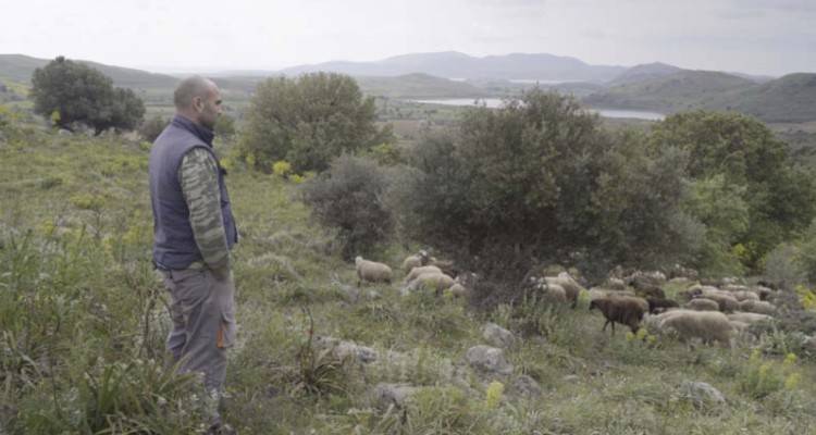 Φωτογραφία: Γιώργος Κωμάκης, ΑΠΕ-ΜΠΕ