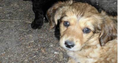 &Tau;&omicron; &Phi;&iota;&lambda;&omicron;&zeta;&omega;&iota;&kappa;ό &Sigma;&omega;&mu;&alpha;&tau;&epsilon;ί&omicron; &Lambda;ή&mu;&nu;&omicron;&upsilon; &gamma;&iota;&alpha; &tau;&alpha; &epsilon;&nu;&tau;ά&lambda;&mu;&alpha;&tau;&alpha; &pi;&lambda;&eta;&rho;&omega;&mu;ή&sigmaf; &pi;&omicron;&upsilon; &upsilon;&pi;έ&gamma;&rho;&alpha;&psi;&epsilon; &omicron; &Delta;ή&mu;&omicron;&sigmaf; &tau;&omicron;&upsilon; &nu;&eta;&sigma;&iota;&omicron;ύ