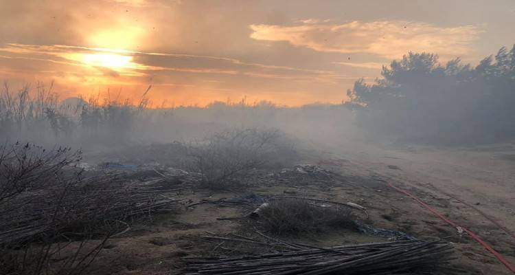 Φωτιά εχθές στο δασάκι του Κέρους | Ο Σύλλογος Ενεργών Πολιτών Λήμνου τονίζει την επιτακτική ανάγκη λήψης μέτρων