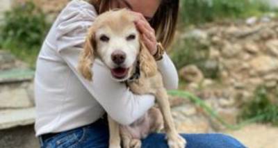 &Chi;ά&theta;&eta;&kappa;&epsilon; &kappa;&alpha;&iota; &eta; &omicron;&iota;&kappa;&omicron;&gamma;έ&nu;&epsilon;&iota;ά &tau;&eta;&sigmaf; &tau;&eta;&nu; &psi;ά&chi;&nu;&epsilon;&iota; | &Gamma;&nu;&omega;&rho;ί&zeta;&epsilon;&iota;&sigmaf; &kappa;ά&tau;&iota;;