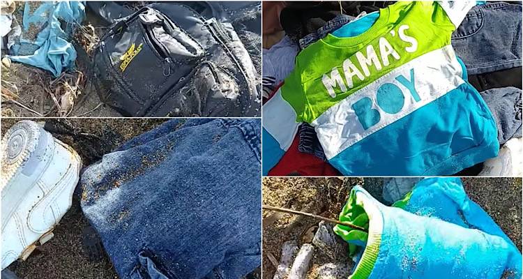 Λήμνος: Απομεινάρια ζωής στην ακρογιαλιά του Ρωμαίικου Γιαλού (video)