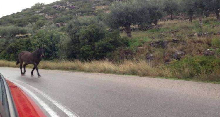 Ά&lambda;&omicron;&gamma;&alpha; &sigma;&tau;&eta; &mu;έ&sigma;&eta; &tau;&omicron;&upsilon; &delta;&rho;ό&mu;&omicron;&upsilon; &Theta;έ&rho;&mu;&omega;&nu; &ndash; &Kappa;&omicron;&rho;&nu;&omicron;ύ