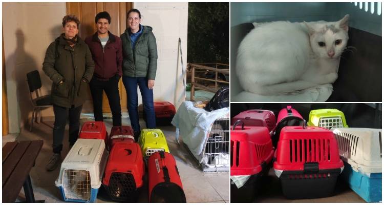 Ενεργή παρέμβαση του Μ.Ε.Α.Σ. ΕΡΜΗΣ Βάρους στη φροντίδα των αδέσποτων