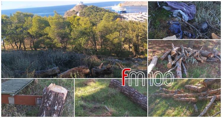 Παράπονα κατοίκων για το δασάκι του Αγίου Νικολάου | Κομμένα δέντρα και εικόνα εγκατάλειψης