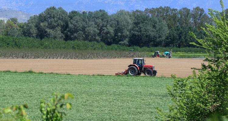 &Omicron;&Pi;&Epsilon;&Kappa;&Epsilon;&Pi;&Epsilon;: &Pi;&epsilon;&rho;&iota;&sigma;&sigma;ό&tau;&epsilon;&rho;&alpha; &alpha;&pi;ό 2,3 &delta;&iota;&sigma;. &epsilon;&upsilon;&rho;ώ &pi;ί&sigma;&tau;&omega;&sigma;&epsilon; &tau;&omicron; 2023 &omicron; &omicron;&rho;&gamma;&alpha;&nu;&iota;&sigma;&mu;ό&sigmaf; -&Alpha;&nu;&alpha;&lambda;&upsilon;&tau;&iota;&kappa;ά &tau;&alpha; &pi;&omicron;&sigma;ά