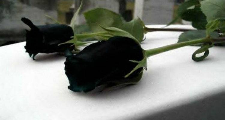 Ο Α.Ο Ηφαιστία Κοντοπουλίου για το χαμό του Αθανάσιου Λαδά