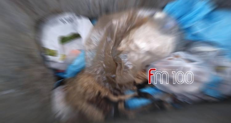 &Delta;.&Epsilon; &Alpha;&tau;&sigma;&iota;&kappa;ή&sigmaf;: &Nu;&epsilon;&kappa;&rho;ό &pi;&rho;ό&beta;&alpha;&tau;&omicron; &sigma;&epsilon; &kappa;ά&delta;&omicron; &alpha;&pi;&omicron;&rho;&rho;&iota;&mu;&mu;ά&tau;&omega;&nu; (photo)