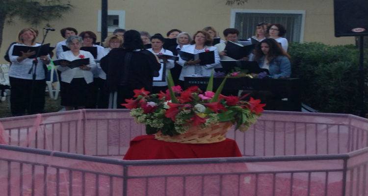 &Eta; &Kappa;&alpha;&lambda;&lambda;&iota;&theta;έ&alpha; &tau;ί&mu;&eta;&sigma;&epsilon; &tau;&iota;&sigmaf; &alpha;&pi;&alpha;&nu;&tau;&alpha;&chi;&omicron;ύ &mu;&alpha;&mu;ά&delta;&epsilon;&sigmaf; (photos)