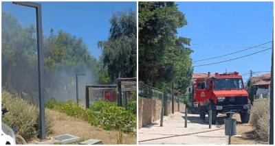 &Phi;&omega;&tau;&iota;ά &sigma;&tau;&omicron;&nu; &omicron;&iota;&kappa;&iota;&sigma;&mu;ό &tau;&omicron;&upsilon; &Alpha;&gamma;ί&omicron;&upsilon; &Delta;&eta;&mu;&eta;&tau;&rho;ί&omicron;&upsilon;