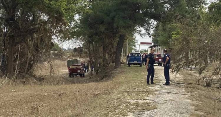 &Lambda;ά&rho;&iota;&sigma;&alpha;: &Nu;&epsilon;&alpha;&rho;ή έ&pi;&epsilon;&sigma;&epsilon; &sigma;&tau;&omicron;&nu; &Pi;&eta;&nu;&epsilon;&iota;ό | &laquo;Ή&tau;&alpha;&nu; &pi;&iota;&alpha;&sigma;&mu;έ&nu;&eta; &sigma;&epsilon; έ&nu;&alpha; &delta;έ&nu;&tau;&rho;&omicron; &kappa;&alpha;&iota; &sigma;ώ&theta;&eta;&kappa;&epsilon;&raquo;, &lambda;έ&epsilon;&iota; ά&nu;&delta;&rho;&alpha;&sigmaf; &tau;&eta;&sigmaf; &Epsilon;&Mu;&Alpha;&Kappa;