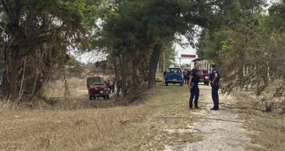 &Lambda;ά&rho;&iota;&sigma;&alpha;: &Nu;&epsilon;&alpha;&rho;ή έ&pi;&epsilon;&sigma;&epsilon; &sigma;&tau;&omicron;&nu; &Pi;&eta;&nu;&epsilon;&iota;ό | &laquo;Ή&tau;&alpha;&nu; &pi;&iota;&alpha;&sigma;&mu;έ&nu;&eta; &sigma;&epsilon; έ&nu;&alpha; &delta;έ&nu;&tau;&rho;&omicron; &kappa;&alpha;&iota; &sigma;ώ&theta;&eta;&kappa;&epsilon;&raquo;, &lambda;έ&epsilon;&iota; ά&nu;&delta;&rho;&alpha;&sigmaf; &tau;&eta;&sigmaf; &Epsilon;&Mu;&Alpha;&Kappa;