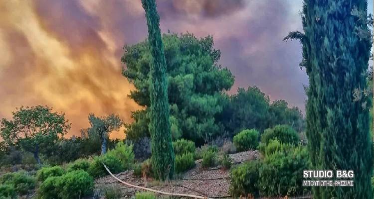 &Chi;&omega;&rho;ί&sigmaf; &epsilon;&nu;&epsilon;&rho;&gamma;ό &mu;έ&tau;&omega;&pi;&omicron; &eta; &phi;&omega;&tau;&iota;ά &sigma;&tau;&omicron; &Kappa;&rho;&alpha;&nu;ί&delta;&iota;: &Gamma;&iota;&alpha; &epsilon;&mu;&pi;&rho;&eta;&sigma;&mu;ό &mu;&iota;&lambda;ά &omicron; &delta;ή&mu;&alpha;&rho;&chi;&omicron;&sigmaf;, &tau;&iota; &sigma;&upsilon;&nu;έ&beta;&eta; &sigma;&tau;&omicron; Amanzoe