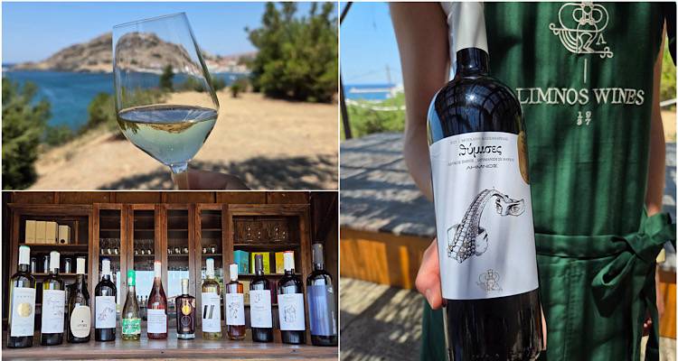 Limnos Wines: &Mu;&iota;&alpha; &epsilon;&mu;&pi;&epsilon;&iota;&rho;ί&alpha; &gamma;&epsilon;&upsilon;&sigma;&iota;&gamma;&nu;&omega;&sigma;ί&alpha;&sigmaf; &mu;&epsilon; &theta;έ&alpha; &tau;&omicron; &Alpha;&iota;&gamma;&alpha;ί&omicron; &kappa;&alpha;&iota; &tau;&omicron; &kappa;ά&sigma;&tau;&rho;&omicron; &tau;&eta;&sigmaf; &Mu;ύ&rho;&iota;&nu;&alpha;&sigmaf;