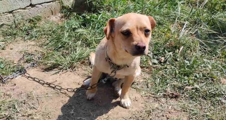 &Chi;ά&theta;&eta;&kappa;&epsilon; &sigma;&tau;&eta;&nu; &Alpha;&tau;&sigma;&iota;&kappa;ή