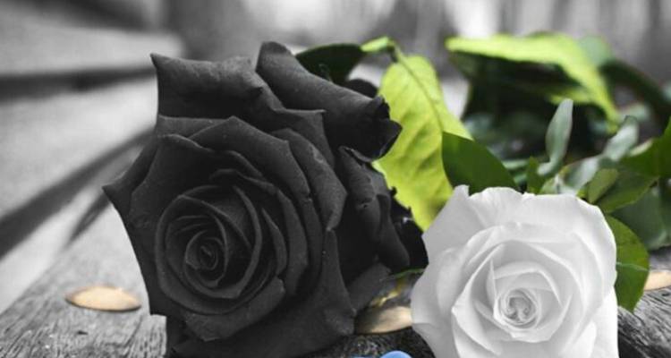 Έ&chi;&alpha;&sigma;&epsilon; &tau;&eta; &mu;ά&chi;&eta; &gamma;&iota;&alpha; &tau;&eta; &zeta;&omega;ή &omicron; &Iota;&omega;ά&nu;&nu;&eta;&sigmaf; &Kappa;&omicron;&nu;&tau;&omicron;&lambda;ά&mu;&pi;&alpha;&delta;&omicron;&sigmaf; | &Sigma;&upsilon;&lambda;&lambda;&upsilon;&pi;&eta;&tau;ή&rho;&iota;&alpha; &alpha;&pi;ό &tau;&omicron; &Sigma;&omega;&mu;&alpha;&tau;&epsilon;ί&omicron; &Epsilon;&rho;&gamma;&alpha;&zeta;&omicron;&mu;έ&nu;&omega;&nu; &tau;&omicron;&upsilon; &Nu;&omicron;&sigma;&omicron;&kappa;&omicron;&mu;&epsilon;ί&omicron;&upsilon; &Lambda;ή&mu;&nu;&omicron;&upsilon;