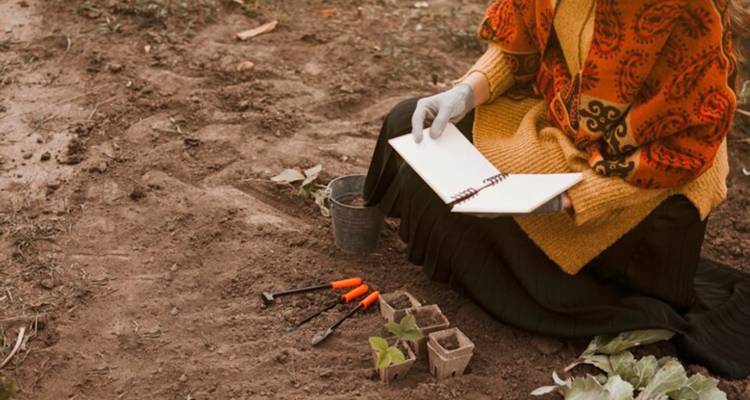 SoilTales: &Mu;&alpha;&theta;&eta;&tau;έ&sigmaf; &tau;&eta;&sigmaf; &Lambda;ή&mu;&nu;&omicron;&upsilon; &theta;&alpha; &pi;&iota;ά&nu;&omicron;&upsilon;&nu; &chi;ώ&mu;&alpha; &kappa;&alpha;&iota; &theta;&alpha; &tau;&omicron; &kappa;ά&nu;&omicron;&upsilon;&nu;&hellip; &iota;&sigma;&tau;&omicron;&rho;ί&epsilon;&sigmaf; &gamma;&iota;&alpha; &kappa;ό&mu;&iota;&kappa;&sigmaf;!