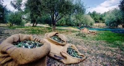 &Epsilon;&pi;&iota;&sigma;&tau;&omicron;&lambda;ή &delta;&iota;&alpha;&mu;&alpha;&rho;&tau;&upsilon;&rho;ί&alpha;&sigmaf; &tau;&eta;&sigmaf; &Pi;&epsilon;&rho;&iota;&phi;έ&rho;&epsilon;&iota;&alpha;&sigmaf; &Beta;&omicron;&rho;&epsilon;ί&omicron;&upsilon; &Alpha;&iota;&gamma;&alpha;ί&omicron;&upsilon; &gamma;&iota;&alpha; &tau;&iota;&sigmaf; &Delta;&eta;&lambda;ώ&sigma;&epsilon;&iota;&sigmaf; &Sigma;&upsilon;&gamma;&kappa;&omicron;&mu;&iota;&delta;ή&sigmaf; &Epsilon;&lambda;&alpha;&iota;&omicron;&kappa;ά&rho;&pi;&omicron;&upsilon;