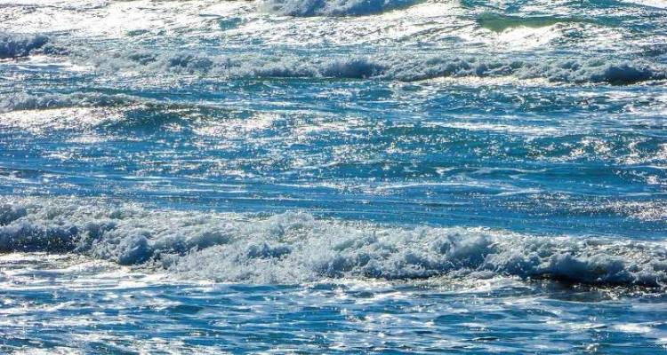 &Theta;&upsilon;&epsilon;&lambda;&lambda;ώ&delta;&epsilon;&iota;&sigmaf; ά&nu;&epsilon;&mu;&omicron;&iota; έ&omega;&sigmaf; &kappa;&alpha;&iota; 9 &Mu;&pi;&omicron;&phi;ό&rho; &sigma;&tau;&omicron; &Beta;&omicron;&rho;&epsilon;&iota;&omicron;&alpha;&nu;&alpha;&tau;&omicron;&lambda;&iota;&kappa;ό &Alpha;&iota;&gamma;&alpha;ί&omicron; | &Sigma;&epsilon; &iota;&sigma;&chi;ύ &eta; &alpha;&nu;&alpha;&gamma;&gamma;&epsilon;&lambda;ί&alpha; &tau;&eta;&sigmaf; &Epsilon;&Mu;&Upsilon; &gamma;&iota;&alpha; &tau;&eta; &Lambda;ή&mu;&nu;&omicron;