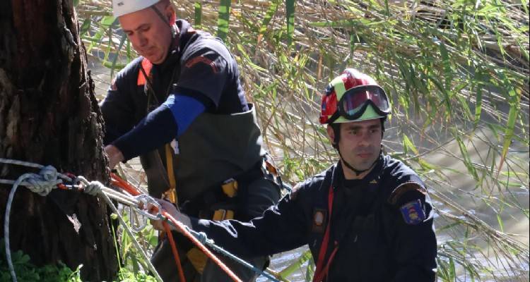 &Delta;&rho;ά&mu;&alpha;: Έ&nu;&alpha;&sigmaf; &nu;&epsilon;&kappa;&rho;ό&sigmaf; &kappa;&alpha;&iota; έ&nu;&alpha;&sigmaf; &sigma;&omicron;&beta;&alpha;&rho;ά &tau;&rho;&alpha;&upsilon;&mu;&alpha;&tau;ί&alpha;&sigmaf; &sigma;&tau;&omicron; &Phi;&alpha;&lambda;&alpha;&kappa;&rho;ό | &Tau;&omicron;&upsilon;&sigmaf; &chi;&tau;ύ&pi;&eta;&sigma;&epsilon; &kappa;&epsilon;&rho;&alpha;&upsilon;&nu;ό&sigmaf;