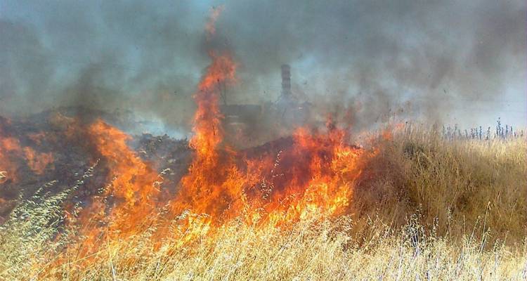 &Omicron; &Delta;ή&mu;&omicron;&sigmaf; &Lambda;ή&mu;&nu;&omicron;&upsilon; &epsilon;&phi;&iota;&sigma;&tau;ά &tau;&eta;&nu; &pi;&rho;&omicron;&sigma;&omicron;&chi;ή &tau;&omega;&nu; &iota;&delta;&iota;&omicron;&kappa;&tau;&eta;&tau;ώ&nu; &omicron;&iota;&kappa;&omicron;&pi;έ&delta;&omega;&nu; &epsilon;&nu;ό&psi;&epsilon;&iota; &tau;&eta;&sigmaf; &alpha;&nu;&tau;&iota;&pi;&upsilon;&rho;&iota;&kappa;ή&sigmaf; &pi;&epsilon;&rho;&iota;ό&delta;&omicron;&upsilon;
