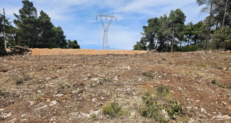 &Tau;&alpha;&chi;ύ&tau;&epsilon;&rho;&eta; &eta; &epsilon;&pi;ί&lambda;&upsilon;&sigma;&eta; &kappa;&tau;&eta;&mu;&alpha;&tau;&omicron;&lambda;&omicron;&gamma;&iota;&kappa;ώ&nu; &delta;&iota;&alpha;&phi;&omicron;&rho;ώ&nu; &mu;&epsilon;&tau;&alpha;&xi;ύ &Delta;&eta;&mu;&omicron;&sigma;ί&omicron;&upsilon; &kappa;&alpha;&iota; &pi;&omicron;&lambda;&iota;&tau;ώ&nu;, &mu;έ&sigma;&omega; &tau;&eta;&sigmaf; &delta;&iota;&alpha;&mu;&epsilon;&sigma;&omicron;&lambda;ά&beta;&eta;&sigma;&eta;&sigmaf;