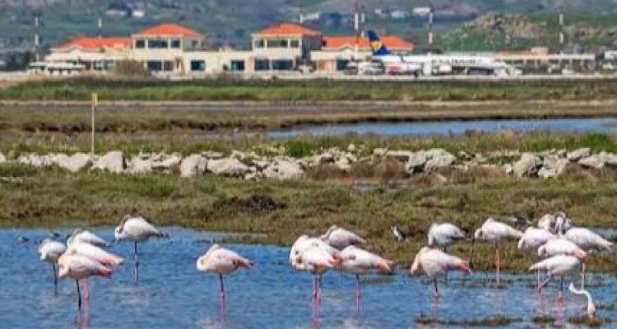 &Lambda;ή&mu;&nu;&omicron;&sigmaf;: &Pi;&alpha;&rho;&omicron;&upsilon;&sigma;&iota;ά&zeta;&epsilon;&tau;&alpha;&iota; &tau;&omicron; &pi;&rho;ό&gamma;&rho;&alpha;&mu;&mu;&alpha; &laquo;&Pi;&epsilon;&tau;ά&mu;&epsilon; &mu;&epsilon; &tau;&alpha; &pi;&omicron;&upsilon;&lambda;&iota;ά &tau;&eta;&sigmaf; &Lambda;ή&mu;&nu;&omicron;&upsilon;&raquo; &alpha;&pi;ό &tau;&omicron;&upsilon;&sigmaf; &Epsilon;&nu;&epsilon;&rho;&gamma;&omicron;ύ&sigmaf; &Pi;&omicron;&lambda;ί&tau;&epsilon;&sigmaf;