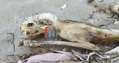 &Alpha;&nu;&alpha;&tau;&rho;&iota;&chi;&iota;&alpha;&sigma;&tau;&iota;&kappa;έ&sigmaf; &epsilon;&iota;&kappa;ό&nu;&epsilon;&sigmaf; &sigma;&epsilon; &pi;&alpha;&rho;&alpha;&lambda;ί&alpha; &tau;&eta;&sigmaf; &Lambda;ή&mu;&nu;&omicron;&upsilon;
