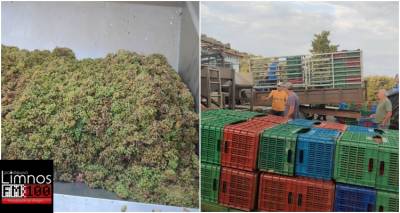 &Sigma;&tau;&omicron; &laquo;&phi;&omicron;&upsilon;&lambda;&raquo; &omicron;&iota; &mu;&eta;&chi;&alpha;&nu;έ&sigmaf; &sigma;&tau;&alpha; &omicron;&iota;&nu;&omicron;&pi;&omicron;&iota;&epsilon;ί&alpha; &tau;&eta;&sigmaf; &Lambda;ή&mu;&nu;&omicron;&upsilon; (photos + video)