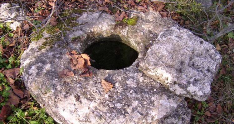 &Lambda;ύ&chi;&nu;&alpha;: &Pi;&nu;ί&gamma;&eta;&kappa;&epsilon; &sigma;&kappa;&upsilon;&lambda;ί &sigma;&epsilon; &alpha;&phi;ύ&lambda;&alpha;&kappa;&tau;&omicron; &pi;&eta;&gamma;ά&delta;&iota;