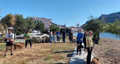 &Delta;&iota;&alpha;&mu;&alpha;&rho;&tau;&upsilon;&rho;ί&alpha; &tau;&omicron;&upsilon; &Phi;&iota;&lambda;&omicron;&zeta;&omega;&iota;&kappa;&omicron;ύ &Sigma;&omega;&mu;&alpha;&tau;&epsilon;ί&omicron;&upsilon; &Lambda;ή&mu;&nu;&omicron;&upsilon; &gamma;&iota;&alpha; &tau;&eta;&nu; &Kappa;&tau;&eta;&nu;&iota;&alpha;&tau;&rho;&iota;&kappa;ή &Upsilon;&pi;&eta;&rho;&epsilon;&sigma;ί&alpha;