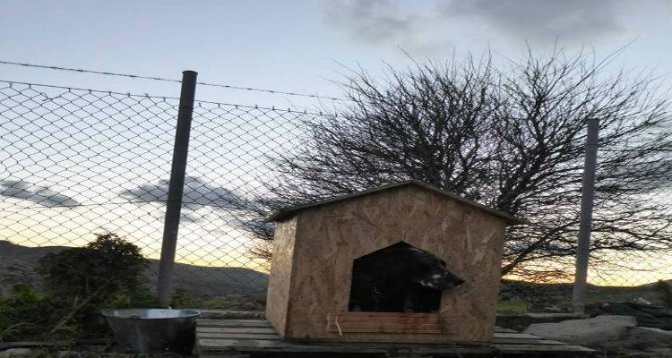 &Sigma;&tau;&omicron; &alpha;&sigma;&tau;&upsilon;&nu;&omicron;&mu;&iota;&kappa;ό &tau;&mu;ή&mu;&alpha; &Mu;ύ&rho;&iota;&nu;&alpha;&sigmaf; &tau;&alpha; &mu;έ&lambda;&eta; &tau;&omicron;&upsilon; &Phi;&iota;&lambda;&omicron;&zeta;&omega;&iota;&kappa;&omicron;ύ &Sigma;&omega;&mu;&alpha;&tau;&epsilon;ί&omicron;&upsilon; &Lambda;ή&mu;&nu;&omicron;&upsilon; (photo)