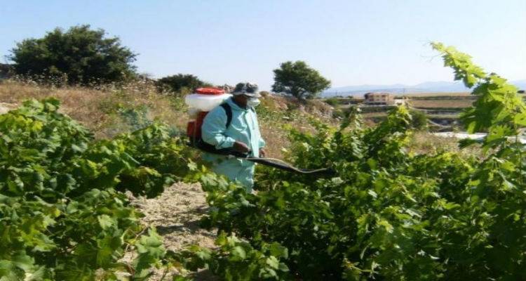 Ά&mu;&epsilon;&sigma;&omicron;&iota; &omicron;&iota; &psi;&epsilon;&kappa;&alpha;&sigma;&mu;&omicron;ί &gamma;&iota;&alpha; &tau;&eta;&nu; &kappa;&alpha;&tau;&alpha;&pi;&omicron;&lambda;έ&mu;&eta;&sigma;&eta; &tau;&eta;&sigmaf; &epsilon;&upsilon;&delta;&epsilon;&mu;ί&delta;&alpha;&sigmaf; &sigma;&tau;&alpha; &alpha;&mu;&pi;έ&lambda;&iota;&alpha; &tau;&eta;&sigmaf; &Lambda;ή&mu;&nu;&omicron;&upsilon;