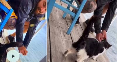 &Sigma;ά&lambda;&omicron;&sigmaf; &mu;&epsilon; &tau;&omicron;&nu; 30&chi;&rho;&omicron;&nu;&omicron; &nu;&tau;&alpha;ή &pi;&omicron;&upsilon; &kappa;&lambda;ώ&tau;&sigma;&eta;&sigma;&epsilon; &tau;&eta; &gamma;ά&tau;&alpha; &sigma;&tau;&eta; &theta;ά&lambda;&alpha;&sigma;&sigma;&alpha; | &Eta; &mu;&iota;&sigma;ή &sigma;&upsilon;&gamma;&gamma;&nu;ώ&mu;&eta; &mu;&epsilon; &chi;&upsilon;&delta;&alpha;&iota;ό&tau;&eta;&tau;&epsilon;&sigmaf; &kappa;&alpha;&iota; &omicron;&iota; &delta;&iota;&kappa;&alpha;&iota;&omicron;&lambda;&omicron;&gamma;ί&epsilon;&sigmaf;
