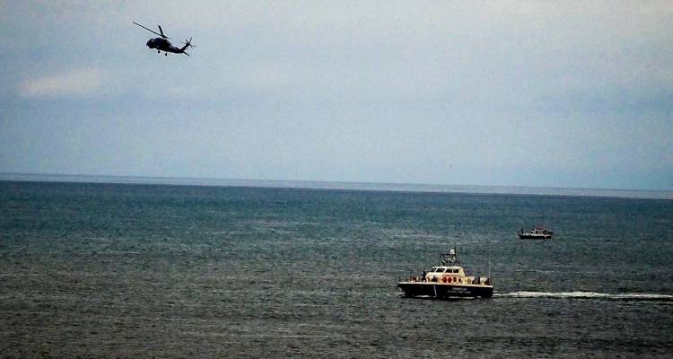 &Beta;&alpha;&tau;&rho;&alpha;&chi;ά&nu;&theta;&rho;&omega;&pi;&omicron;&iota; &psi;ά&chi;&nu;&omicron;&upsilon;&nu; &tau;&omicron;&nu; &pi;&iota;&lambda;ό&tau;&omicron; &tau;&omicron;&upsilon; &epsilon;&lambda;&iota;&kappa;&omicron;&pi;&tau;έ&rho;&omicron;&upsilon; &pi;&omicron;&upsilon; έ&pi;&epsilon;&sigma;&epsilon; &sigma;&tau;&eta;&nu; &Epsilon;ύ&beta;&omicron;&iota;&alpha; | &Tau;&alpha; &sigma;&epsilon;&nu;ά&rho;&iota;&alpha; &gamma;&iota;&alpha; &tau;&eta; &sigma;&upsilon;&nu;&tau;&rho;&iota;&beta;ή