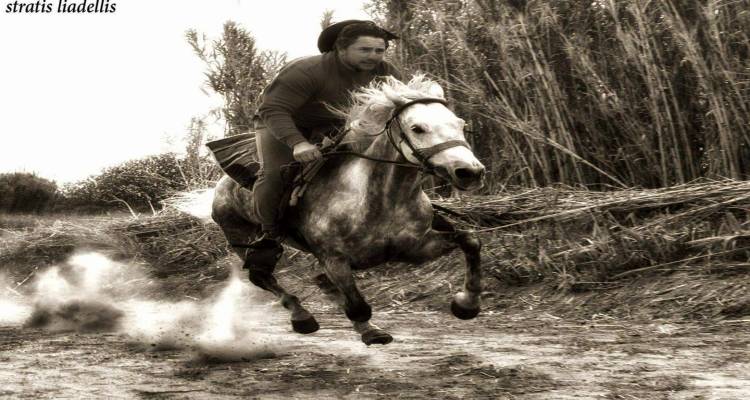 &Alpha;ύ&rho;&iota;&omicron; &sigma;&tau;&omicron; &Pi;&lambda;&alpha;&tau;ύ &eta; &kappa;&eta;&delta;&epsilon;ί&alpha; &tau;&omicron;&upsilon; &Nu;&iota;&kappa;&omicron;&lambda;ά&omicron;&upsilon; &Gamma;&rho;&iota;&tau;&zeta;&alpha;&lambda;ή | &Beta;&alpha;&rho;ύ &pi;έ&nu;&theta;&omicron;&sigmaf; &sigma;&tau;&eta;&nu; &tau;&omicron;&pi;&iota;&kappa;ή &kappa;&omicron;&iota;&nu;&omega;&nu;ί&alpha;