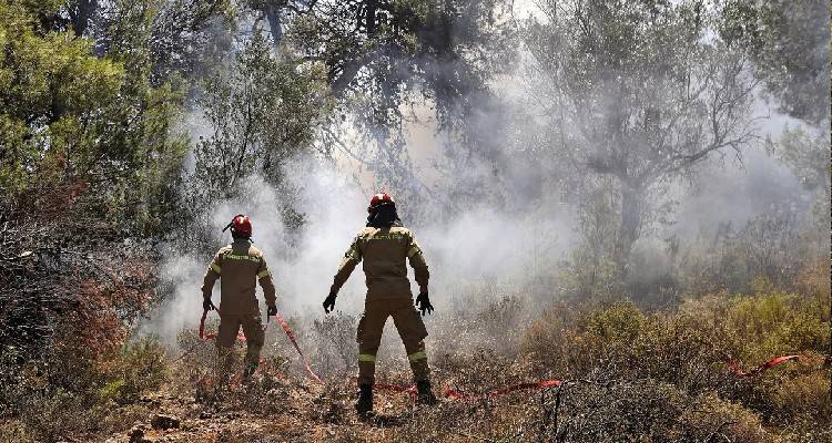&Sigma;&epsilon; ύ&phi;&epsilon;&sigma;&eta; &eta; &phi;&omega;&tau;&iota;ά &sigma;&tau;&eta;&nu; &Pi;&epsilon;&nu;&tau;έ&lambda;&eta; | &Mu;&iota;&kappa;&rho;έ&sigmaf; &epsilon;&sigma;&tau;ί&epsilon;&sigmaf; &sigma;&epsilon; &Delta;&iota;ώ&nu;&eta;, &Delta;&alpha;&sigma;&alpha;&mu;ά&rho;&iota;, &Alpha;&nu;&theta;&omicron;ύ&sigma;&alpha;, &Pi;&alpha;&nu;ό&rho;&alpha;&mu;&alpha; &Pi;&alpha;&lambda;&lambda;ή&nu;&eta;&sigmaf;, &Nu;&tau;&rho;ά&phi;&iota;