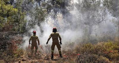 &Sigma;&epsilon; ύ&phi;&epsilon;&sigma;&eta; &eta; &phi;&omega;&tau;&iota;ά &sigma;&tau;&eta;&nu; &Pi;&epsilon;&nu;&tau;έ&lambda;&eta; | &Mu;&iota;&kappa;&rho;έ&sigmaf; &epsilon;&sigma;&tau;ί&epsilon;&sigmaf; &sigma;&epsilon; &Delta;&iota;ώ&nu;&eta;, &Delta;&alpha;&sigma;&alpha;&mu;ά&rho;&iota;, &Alpha;&nu;&theta;&omicron;ύ&sigma;&alpha;, &Pi;&alpha;&nu;ό&rho;&alpha;&mu;&alpha; &Pi;&alpha;&lambda;&lambda;ή&nu;&eta;&sigmaf;, &Nu;&tau;&rho;ά&phi;&iota;