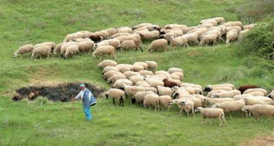 Ξεκίνησε η απογραφή ζωικού κεφαλαίου στη Λήμνο