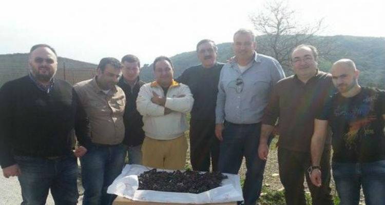 &Pi;&rho;ό&gamma;&rho;&alpha;&mu;&mu;&alpha; &epsilon;&lambda;έ&gamma;&chi;&omicron;&upsilon; &tau;&omicron;&upsilon; &pi;&lambda;&eta;&theta;&upsilon;&sigma;&mu;&omicron;ύ &tau;&omega;&nu; &kappa;&omicron;&rho;&alpha;&kappa;&omicron;&epsilon;&iota;&delta;ώ&nu; &sigma;&tau;&eta; &Lambda;ή&mu;&nu;&omicron;