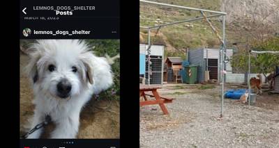 &Lambda;ή&mu;&nu;&omicron;&sigmaf;: &Kappa;&alpha;&tau;&alpha;&iota;&gamma;&iota;&sigma;&mu;ό&sigmaf; &alpha;&nu;&tau;&iota;&delta;&rho;ά&sigma;&epsilon;&omega;&nu; &gamma;&iota;&alpha; &tau;&eta;&nu; &kappa;&alpha;&tau;ά&sigma;&tau;&alpha;&sigma;&eta; &tau;&omega;&nu; &alpha;&delta;έ&sigma;&pi;&omicron;&tau;&omega;&nu; &zeta;ώ&omega;&nu; &sigma;&tau;&eta; &Lambda;ή&mu;&nu;&omicron;